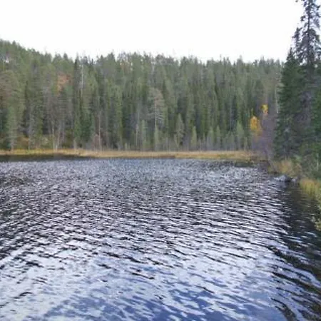Holiday Porokaarre Nr 12 Рука