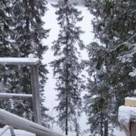 Holiday Porokaarre Nr 12 Ferienhaus Ruka